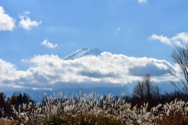 秋の紅葉 河口湖ラグーンの屋崎公園 Japan Fujisan山 — ストック写真