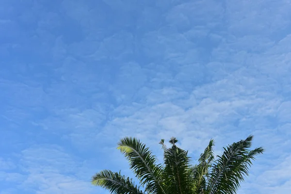 Cielo Azul Nubes Blancas Para Fondo —  Fotos de Stock