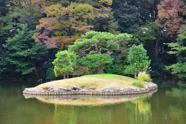 Tokyo Japan November 2019 Unidentified Many People Walking Shinjuku Gyoen — Stock Photo, Image