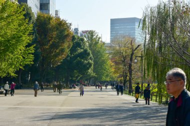 Tokyo, Japonya 27 Kasım 2018 Kimliği belirsiz birçok insan Ueno parkında yürüyor ve bahçedeki sonbahar ağacını izliyor. .