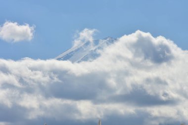 Yakisaki parkındaki Kawaguchiko gölünde sonbahar yaprakları. Fujisan dağı..