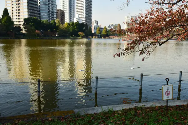 Tóquio Japão Novembro 2018 Não Identificado Muitas Pessoas Estão Andando — Fotografia de Stock