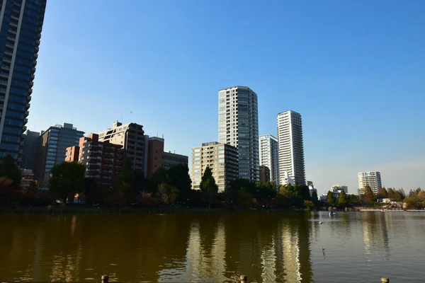 Tokio Japonsko Listopad 2018 Parku Ueno Procházejí Neidentifikovaní Lidé Dívají — Stock fotografie