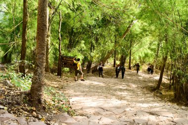 Loei Eyaleti Tayland 19 Ocak 2017 Phu Kradueng Ulusal Parkı. Tayland 'ın en ünlü yerlerinden biridir. Her yıl ortalama bir insana on binlerce insan gelir, özellikle de uzun bir hafta sonu boyunca. 