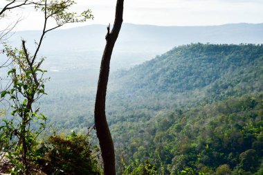 Loei Eyaleti Tayland 19 Ocak 2017 Phu Kradueng Ulusal Parkı. Tayland 'ın en ünlü yerlerinden biridir. Her yıl ortalama bir insana on binlerce insan gelir, özellikle de uzun bir hafta sonu boyunca. 