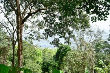 Loei Eyaleti Tayland Phu Kradueng Ulusal Parkı. Tayland 'ın en ünlü yerlerinden biridir. Her yıl ortalama bir insana on binlerce insan gelir, özellikle de birçok turistin sık sık ziyaret etmek zorunda kaldığı uzun hafta sonlarında.