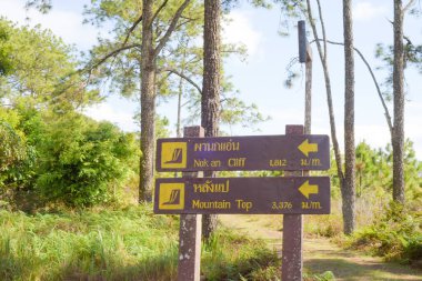 Loei Eyaleti Tayland 19 Ocak 2017 Phu Kradueng Ulusal Parkı. Tayland 'ın en ünlü yerlerinden biridir. Her yıl ortalama bir insana on binlerce insan gelir, özellikle de uzun bir hafta sonu boyunca. 