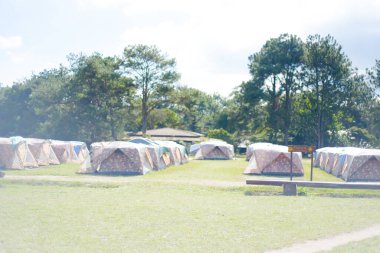 Loei Eyaleti Tayland 19 Ocak 2017 Phu Kradueng Ulusal Parkı. Tayland 'ın en ünlü yerlerinden biridir. Her yıl ortalama bir insana on binlerce insan gelir, özellikle de uzun bir hafta sonu boyunca. 