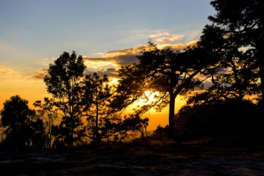 Loei Eyaleti Tayland Phu Kradueng Ulusal Parkı. Tayland 'ın en ünlü yerlerinden biridir. Her yıl ortalama bir insana on binlerce insan gelir, özellikle de birçok turistin sık sık ziyaret etmek zorunda kaldığı uzun hafta sonlarında.