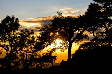 Loei Eyaleti Tayland Phu Kradueng Ulusal Parkı. Tayland 'ın en ünlü yerlerinden biridir. Her yıl ortalama bir insana on binlerce insan gelir, özellikle de birçok turistin sık sık ziyaret etmek zorunda kaldığı uzun hafta sonlarında.