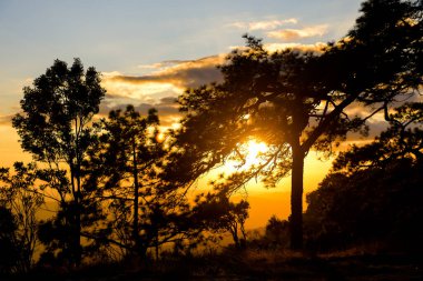 Loei Eyaleti Tayland Phu Kradueng Ulusal Parkı. Tayland 'ın en ünlü yerlerinden biridir. Her yıl ortalama bir insana on binlerce insan gelir, özellikle de birçok turistin sık sık ziyaret etmek zorunda kaldığı uzun hafta sonlarında.