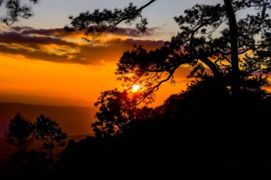 Loei Eyaleti Tayland Phu Kradueng Ulusal Parkı. Tayland 'ın en ünlü yerlerinden biridir. Her yıl ortalama bir insana on binlerce insan gelir, özellikle de birçok turistin sık sık ziyaret etmek zorunda kaldığı uzun hafta sonlarında.