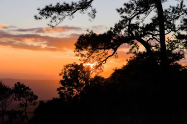 Loei Eyaleti Tayland Phu Kradueng Ulusal Parkı. Tayland 'ın en ünlü yerlerinden biridir. Her yıl ortalama bir insana on binlerce insan gelir, özellikle de birçok turistin sık sık ziyaret etmek zorunda kaldığı uzun hafta sonlarında.