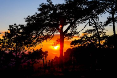 Loei Eyaleti Tayland Phu Kradueng Ulusal Parkı. Tayland 'ın en ünlü yerlerinden biridir. Her yıl ortalama bir insana on binlerce insan gelir, özellikle de birçok turistin sık sık ziyaret etmek zorunda kaldığı uzun hafta sonlarında.