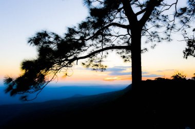 Loei Eyaleti Tayland Phu Kradueng Ulusal Parkı. Tayland 'ın en ünlü yerlerinden biridir. Her yıl ortalama bir insana on binlerce insan gelir, özellikle de birçok turistin sık sık ziyaret etmek zorunda kaldığı uzun hafta sonlarında.