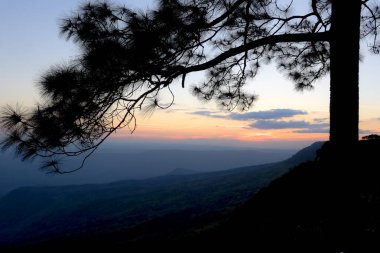 Loei Eyaleti Tayland Phu Kradueng Ulusal Parkı. Tayland 'ın en ünlü yerlerinden biridir. Her yıl ortalama bir insana on binlerce insan gelir, özellikle de birçok turistin sık sık ziyaret etmek zorunda kaldığı uzun hafta sonlarında.