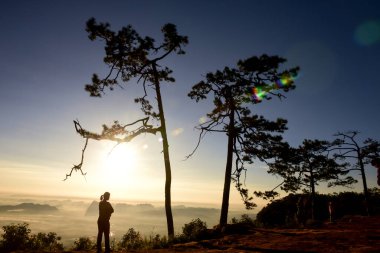 Loei Eyaleti Tayland Phu Kradueng Ulusal Parkı. Tayland 'ın en ünlü yerlerinden biridir. Her yıl ortalama bir insana on binlerce insan gelir, özellikle de birçok turistin sık sık ziyaret etmek zorunda kaldığı uzun hafta sonlarında.