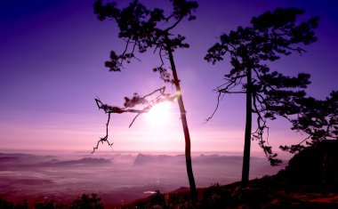 Loei Eyaleti Tayland Phu Kradueng Ulusal Parkı. Tayland 'ın en ünlü yerlerinden biridir. Her yıl ortalama bir insana on binlerce insan gelir, özellikle de birçok turistin sık sık ziyaret etmek zorunda kaldığı uzun hafta sonlarında.