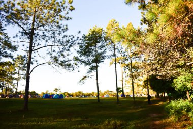 Loei Eyaleti Tayland Phu Kradueng Ulusal Parkı. Tayland 'ın en ünlü yerlerinden biridir. Her yıl ortalama bir insana on binlerce insan gelir, özellikle de birçok turistin sık sık ziyaret etmek zorunda kaldığı uzun hafta sonlarında.