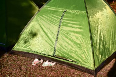 Loei Eyaleti Tayland 19 Ocak 2017 Phu Kradueng Ulusal Parkı. Tayland 'ın en ünlü yerlerinden biridir. Her yıl ortalama bir insana on binlerce insan gelir, özellikle de uzun bir hafta sonu boyunca. 