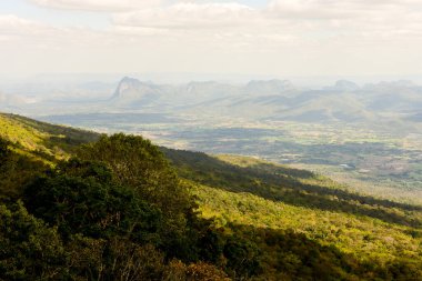 Loei Eyaleti Tayland Phu Kradueng Ulusal Parkı. Tayland 'ın en ünlü yerlerinden biridir. Her yıl ortalama bir insana on binlerce insan gelir, özellikle de birçok turistin sık sık ziyaret etmek zorunda kaldığı uzun hafta sonlarında.