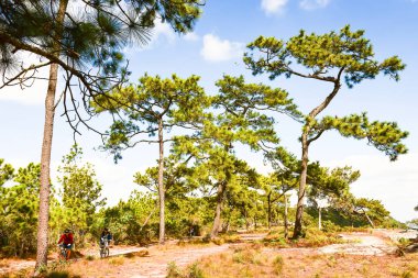 Loei Eyaleti Tayland Phu Kradueng Ulusal Parkı. Tayland 'ın en ünlü yerlerinden biridir. Her yıl ortalama bir insana on binlerce insan gelir, özellikle de birçok turistin sık sık ziyaret etmek zorunda kaldığı uzun hafta sonlarında.