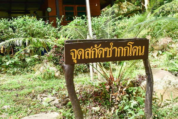 Provincia Loei Tailandia Enero 2017 Parque Nacional Phu Kradueng Uno — Foto de Stock