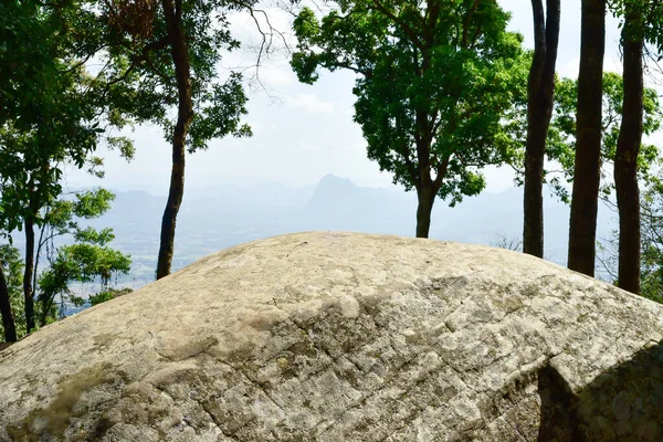 Provincia Loei Tailandia Parque Nacional Phu Kradueng Uno Los Atractivos — Foto de Stock