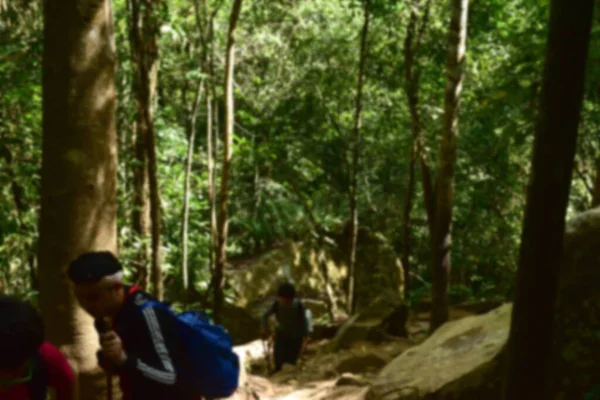 Province Loei Thaïlande Janvier 2017 Parc National Phu Kradueng Est — Photo