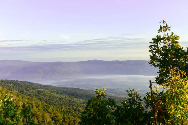 Provincia Loei Tailandia Parque Nacional Phu Kradueng Uno Los Atractivos — Foto de Stock