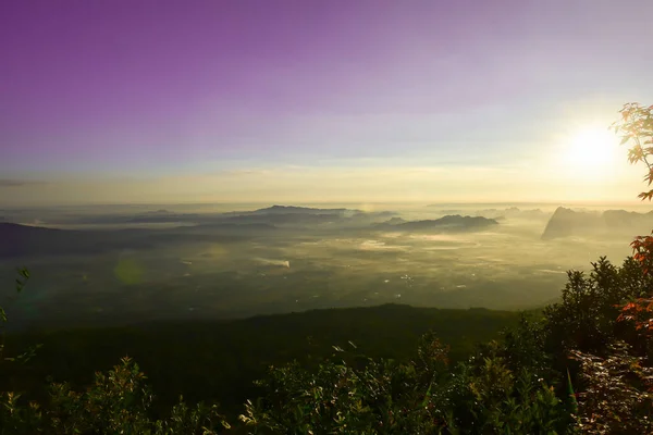 Province Loei Thaïlande Parc National Phu Kradueng Est Une Des — Photo