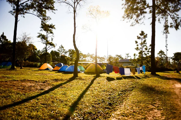 Provincia Loei Tailandia Enero 2017 Parque Nacional Phu Kradueng Uno —  Fotos de Stock