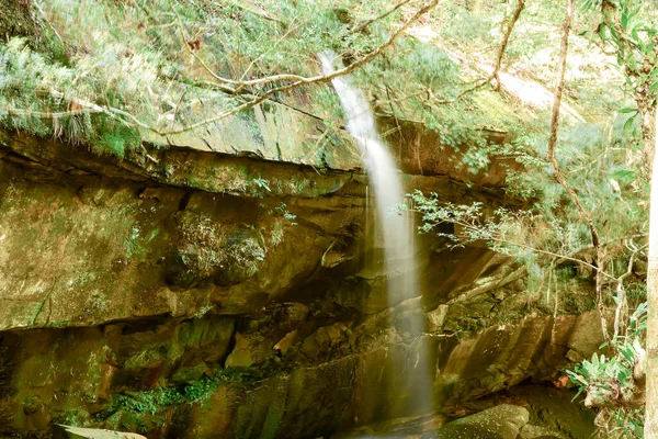 Loei Provinz Thailand Phu Kradueng Nationalpark Ist Eine Der Attraktionen — Stockfoto