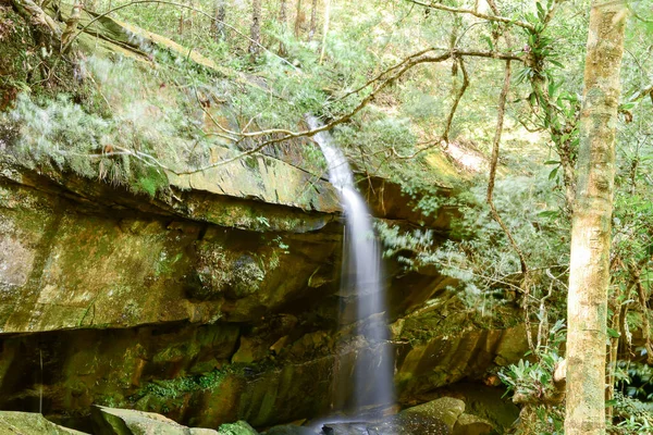 Provincia Loei Tailandia Parque Nacional Phu Kradueng Uno Los Atractivos — Foto de Stock