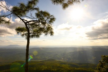 Loei Eyaleti Tayland Phu Kradueng Ulusal Parkı. Tayland 'ın en ünlü yerlerinden biridir. Her yıl ortalama bir insana on binlerce insan gelir, özellikle de birçok turistin sık sık ziyaret etmek zorunda kaldığı uzun hafta sonlarında.