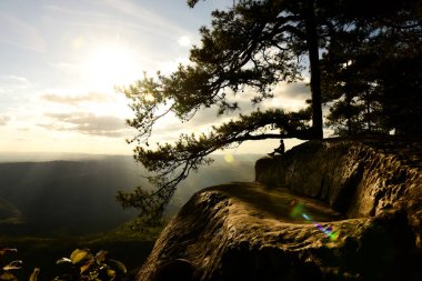 Loei Eyaleti Tayland Phu Kradueng Ulusal Parkı. Tayland 'ın en ünlü yerlerinden biridir. Her yıl ortalama bir turiste on binlerce insan gelir..
