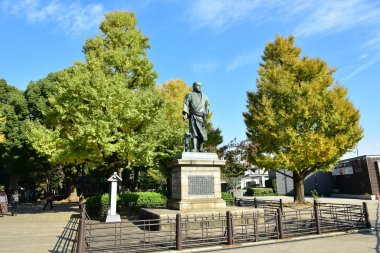 Tokyo, Japonya. 27 Kasım 2019 Tanımlanamayan Görüntü. Birçok insan Ueno parkında yürüyor ve sonbahar ağacını izliyor..