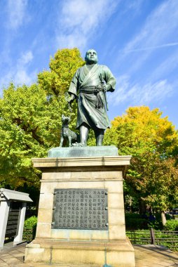 Tokyo, Japonya. 27 Kasım 2019 Tanımlanamayan Görüntü. Birçok insan Ueno parkında yürüyor ve sonbahar ağacını izliyor..