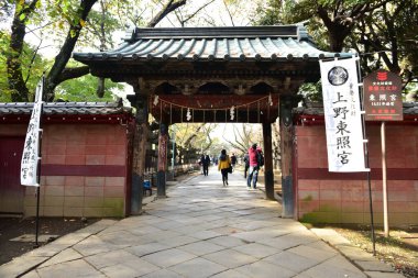 Tokyo, Japonya. 27 Kasım 2019 Tanımlanamayan Görüntü. Birçok insan Ueno parkında yürüyor ve sonbahar ağacını izliyor..