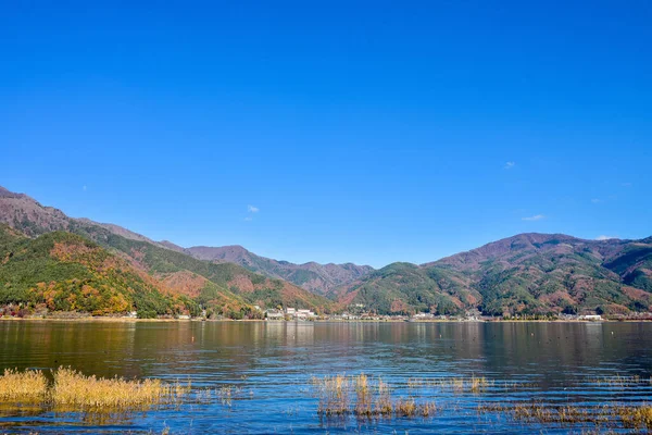 Autumn Leaves Kawaguchiko Lagoon Yakisaki Park Japan Fujisan Mountain — Stock Photo, Image