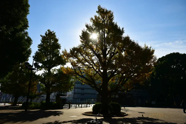 Tokio Japón Noviembre 2019 Desenfoque Identificado Muchas Personas Están Caminando —  Fotos de Stock