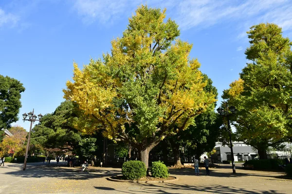 Tóquio Japão Novembro 2019 Desfoque Não Identificado Muitas Pessoas Estão — Fotografia de Stock