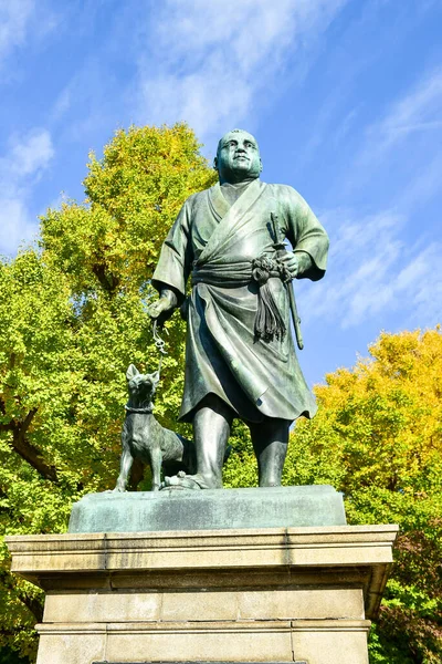 Tokyo, Japonya. 27 Kasım 2019 Tanımlanamayan Görüntü. Birçok insan Ueno parkında yürüyor ve sonbahar ağacını izliyor..
