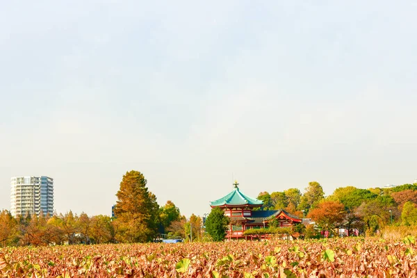 Tokio Japan November 2018 Onbekend Lopen Veel Mensen Het Ueno — Stockfoto