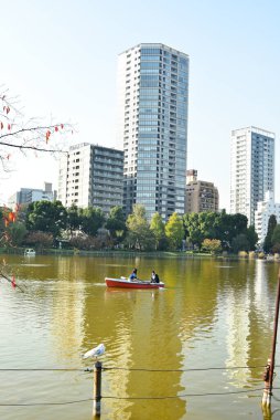 Tokyo, Japonya 27 Kasım 2018 Kimliği belirsiz birçok insan Ueno parkında yürüyor ve bahçedeki sonbahar ağacını izliyor. .