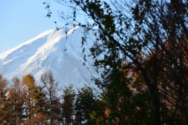 23 Kasım 2018 'de Japonya' nın kırsal kesimindeki bir köyde soğuk havada.