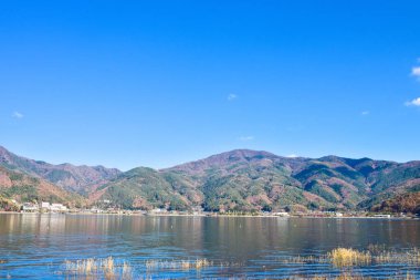 Yakisaki parkındaki Kawaguchiko gölünde sonbahar yaprakları. Fujisan dağı..