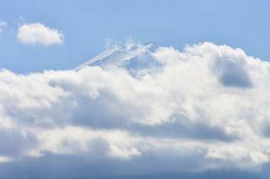Yakisaki parkındaki Kawaguchiko gölünde sonbahar yaprakları. Fujisan dağı..