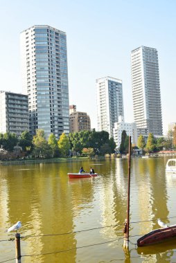 Tokyo, Japonya 27 Kasım 2018 Kimliği belirsiz birçok insan Ueno parkında yürüyor ve bahçedeki sonbahar ağacını izliyor. .