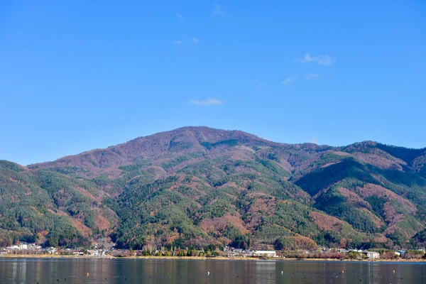 Jesienne Liście Lagunie Kawaguchiko Parku Yakisaki Japonii Fujisan Góra — Zdjęcie stockowe